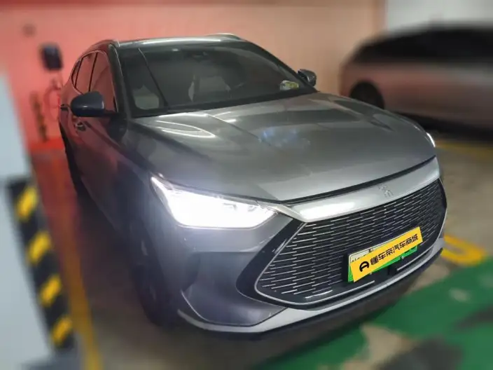 BYD Song PLUS DM 2021 Model DM-i 110KM 2WD Flagship PLUS – фото 3