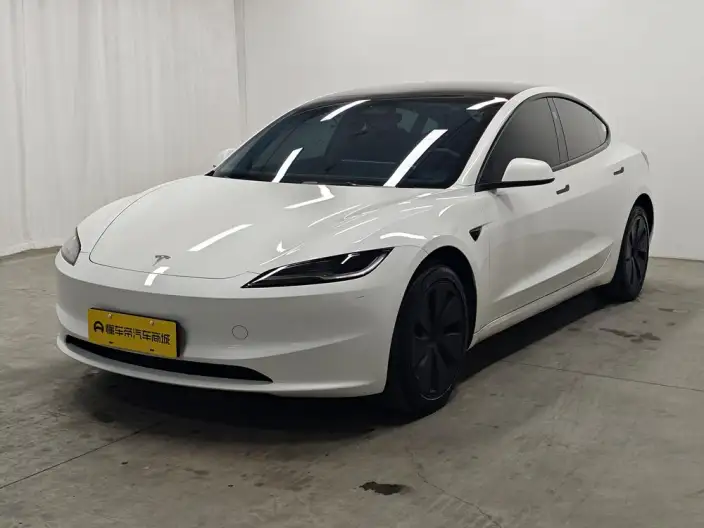 Model 3 2025 Model Rear-wheel drive version – фото 1