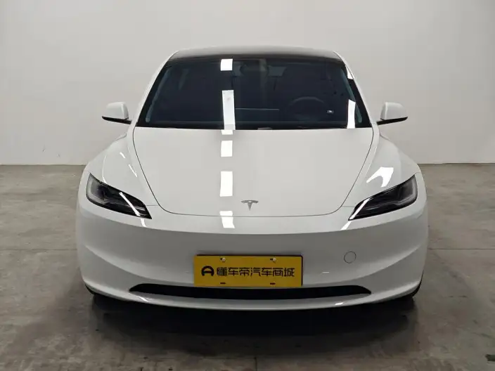 Model 3 2025 Model Rear-wheel drive version – фото 2