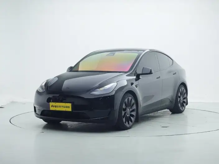 Model Y 2021 Model Performance High performance All-wheel drive version – фото 1