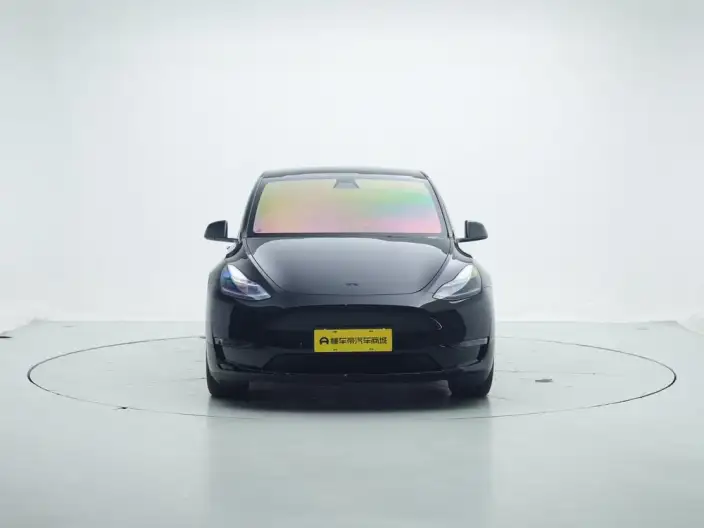 Model Y 2021 Model Performance High performance All-wheel drive version – фото 2