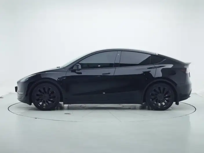 Model Y 2021 Model Performance High performance All-wheel drive version – фото 4