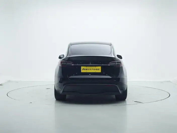 Model Y 2021 Model Performance High performance All-wheel drive version – фото 6