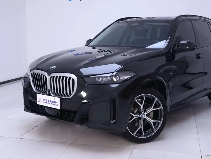 BMW X5 2023 Model xDrive30Li Exclusive Model M Sports Night Set – фото 9