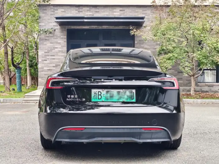 Model 3 2023 Model Rear-wheel drive version – фото 6