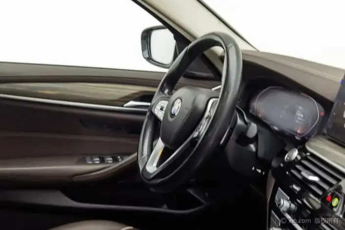 BMW 5 Series 2022 Model Facelift 530Li Leading Model Luxury Set – фото 8