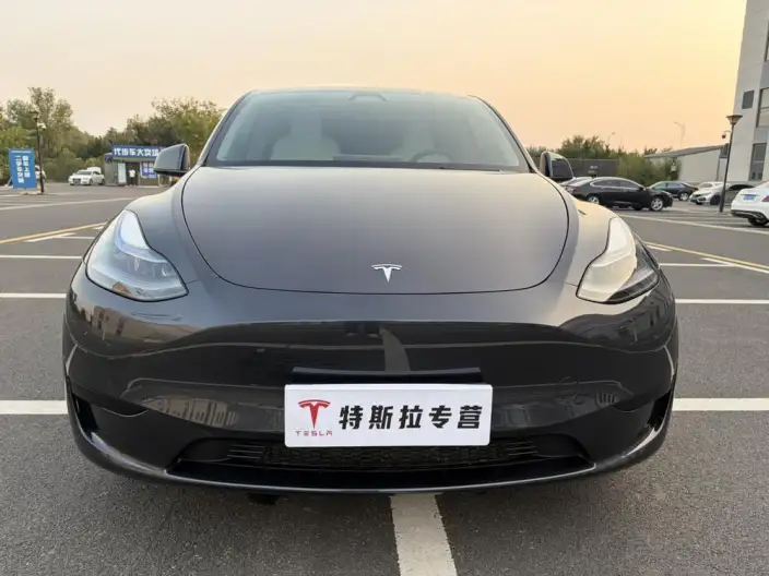 Model Y 2024 Model Rear-wheel drive version – фото 2