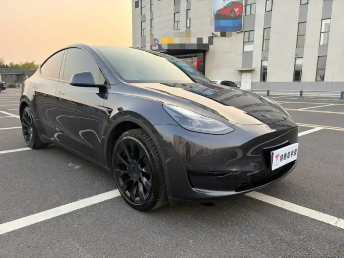 Model Y 2024 Model Rear-wheel drive version – фото 3