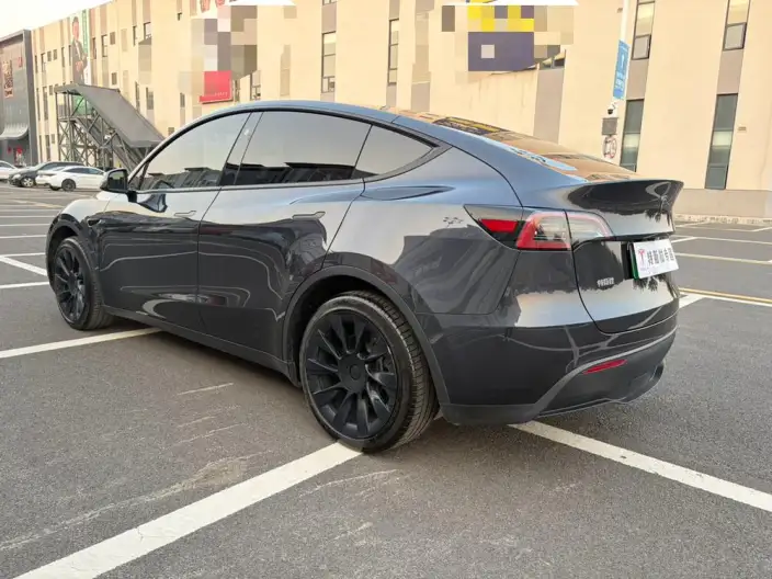 Model Y 2024 Model Rear-wheel drive version – фото 4