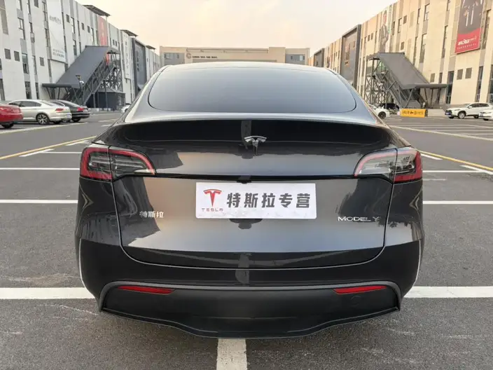 Model Y 2024 Model Rear-wheel drive version – фото 5