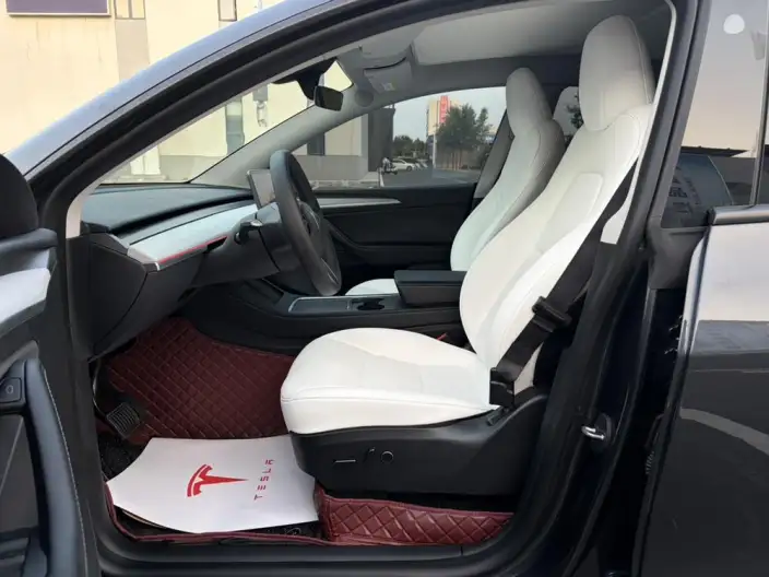 Model Y 2024 Model Rear-wheel drive version – фото 8