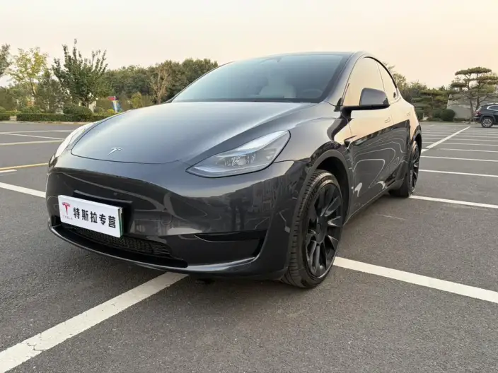 Model Y 2024 Model Rear-wheel drive version – фото 10