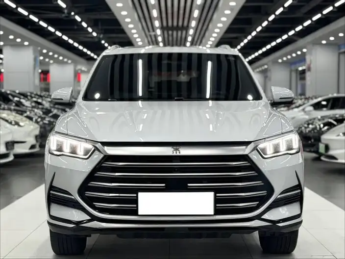BYD Song PLUS DM 2021 Model DM-i 51KM 2WD Zunrong Model – фото 2