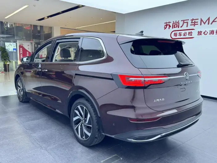 Viloran 2022 Model 330TSI Deluxe Edition – фото 4
