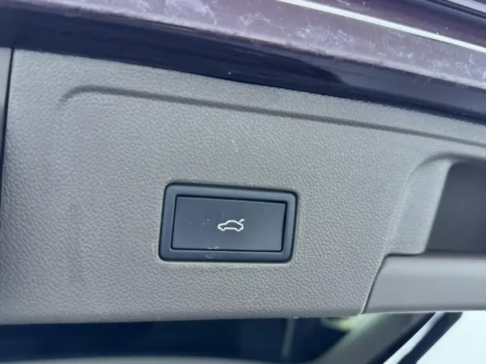 Viloran 2022 Model 330TSI Deluxe Edition – фото 9