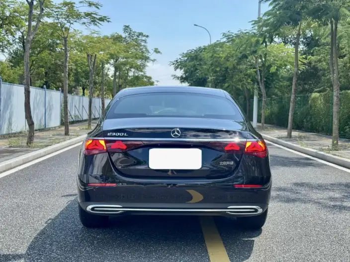 Mercedes-Benz E-Class 2024 Model E 260 L sedan – фото 5