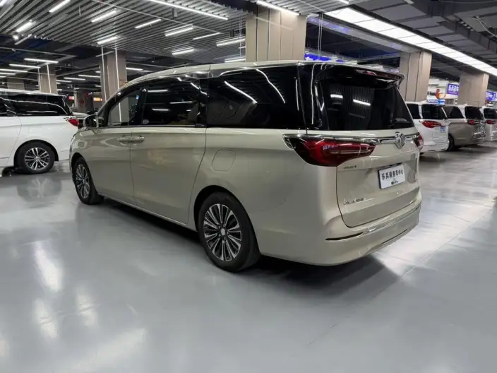 Buick GL8 2022 Model ES Luzun 653T Luxury Model – фото 4