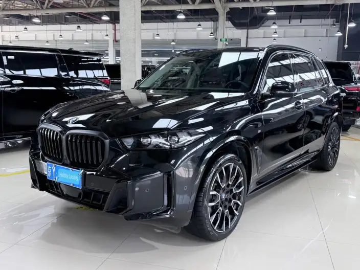 BMW X5 2023 Model xDrive30Li Exclusive Model M Sports Night Set – фото 1