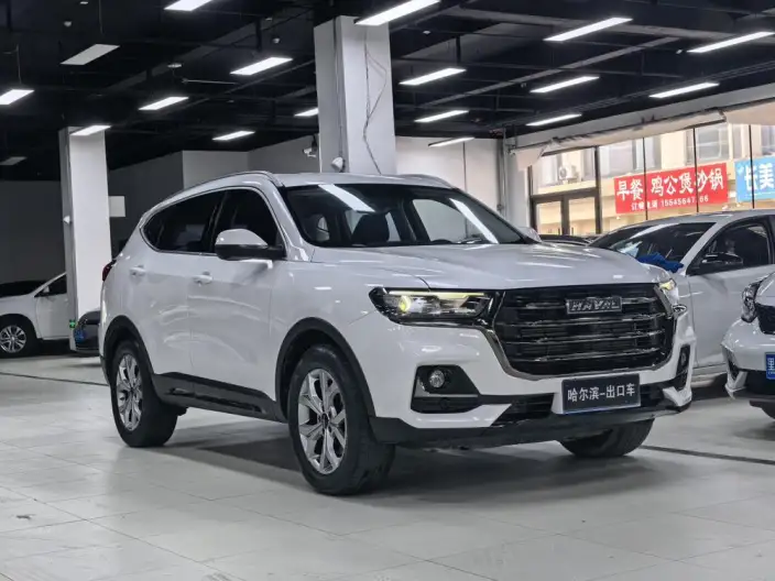 Haval H6 2021 Model Guo Trendy Edition 1.5T Automatic Champion Edition – фото 3