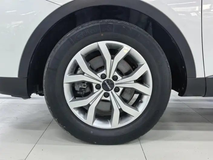 Haval H6 2021 Model Guo Trendy Edition 1.5T Automatic Champion Edition – фото 8