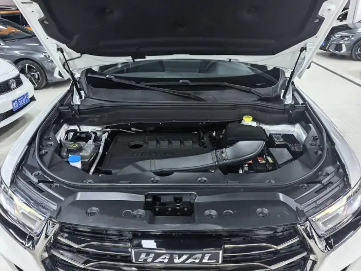 Haval H6 2021 Model Guo Trendy Edition 1.5T Automatic Champion Edition – фото 9