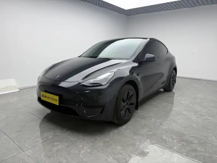 Model Y 2024 Model Rear-wheel drive version – фото 1