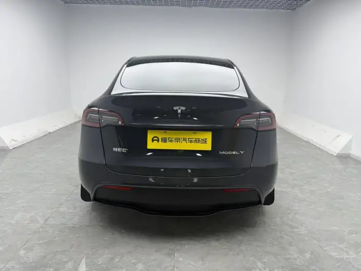 Model Y 2024 Model Rear-wheel drive version – фото 6