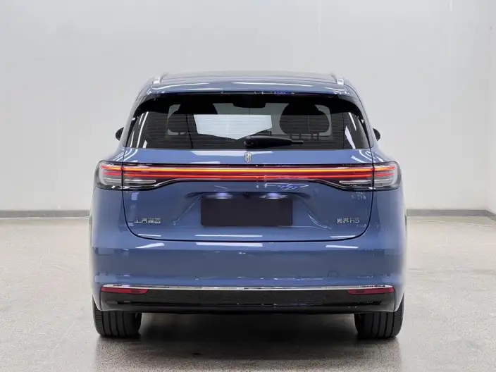 Sangyuan H5 2025 Model Extended Range Max – фото 6