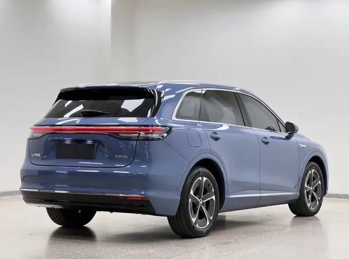 Sangyuan H5 2025 Model Extended Range Max – фото 7