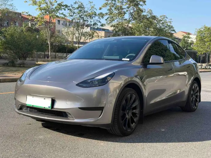 Model Y 2024 Model Rear-wheel drive version – фото 1