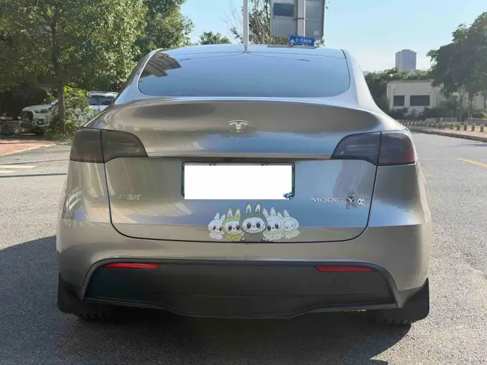 Model Y 2024 Model Rear-wheel drive version – фото 5