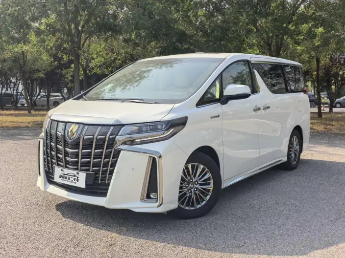 Elfa 2022 Model Hybrid 2.5L Zhen Xiang · Gold Edition – фото 1