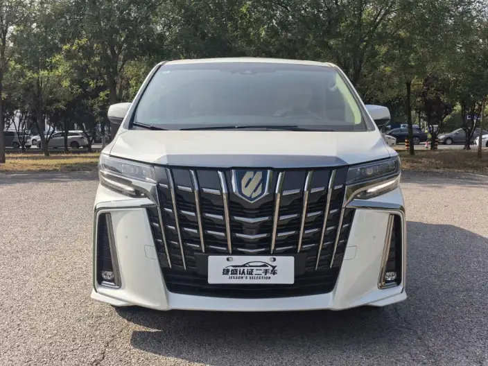 Elfa 2022 Model Hybrid 2.5L Zhen Xiang · Gold Edition – фото 2