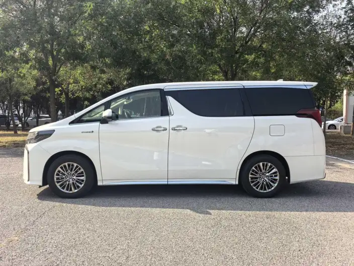 Elfa 2022 Model Hybrid 2.5L Zhen Xiang · Gold Edition – фото 3