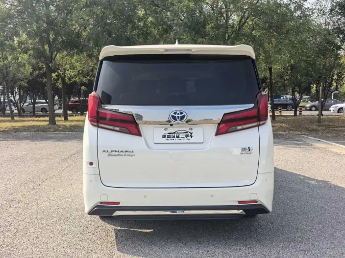 Elfa 2022 Model Hybrid 2.5L Zhen Xiang · Gold Edition – фото 4
