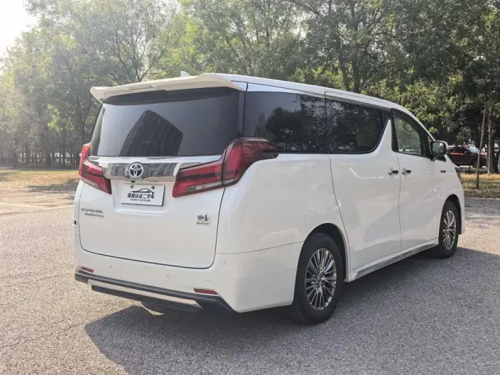 Elfa 2022 Model Hybrid 2.5L Zhen Xiang · Gold Edition – фото 5