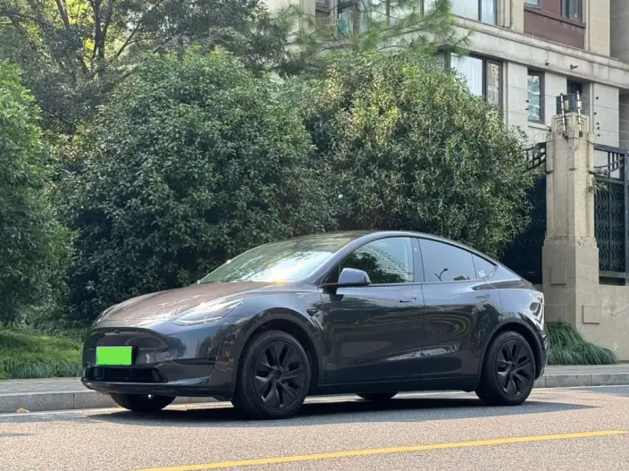 Model Y 2024 Model Rear-wheel drive version – фото 1