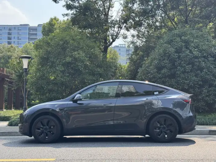 Model Y 2024 Model Rear-wheel drive version – фото 3