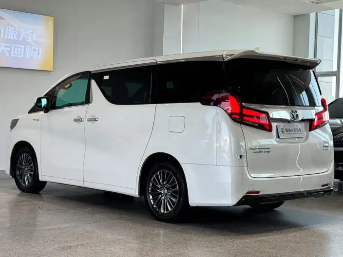 Elfa 2021 Model Hybrid 2.5L Premium Edition – фото 4