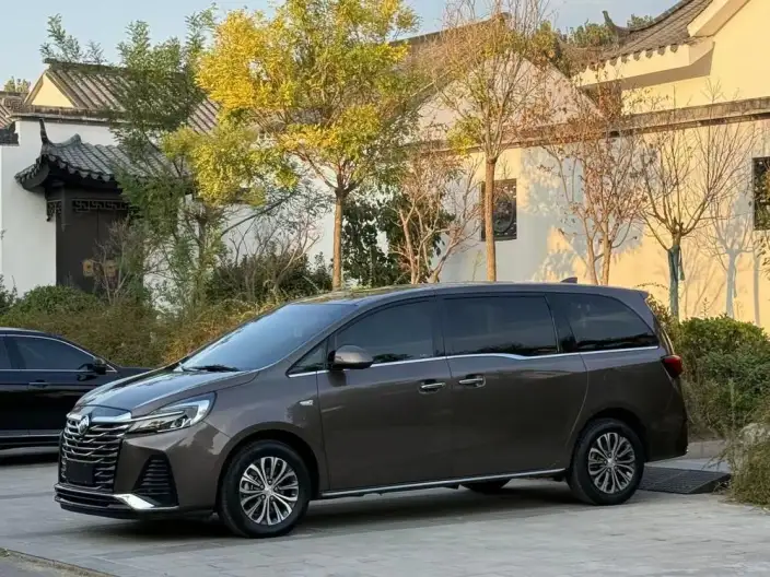 Buick GL8 2023 Model Business class 2.0T Luxury Model – фото 1
