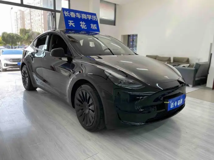 Model Y 2022 Model Facelift Rear-wheel drive version – фото 3