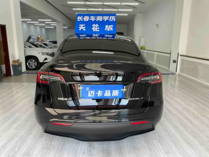 Model Y 2022 Model Facelift Rear-wheel drive version – фото 5