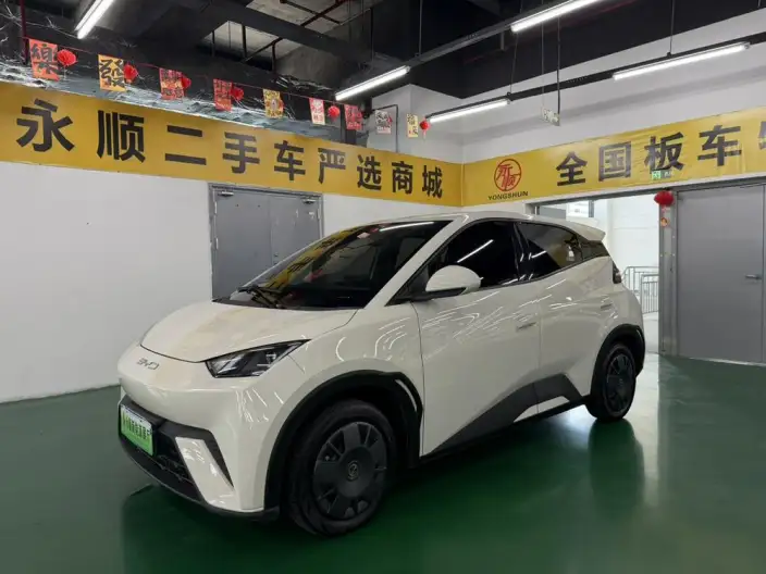 BYD Seagull 2023 Model Vitality Edition – фото 1