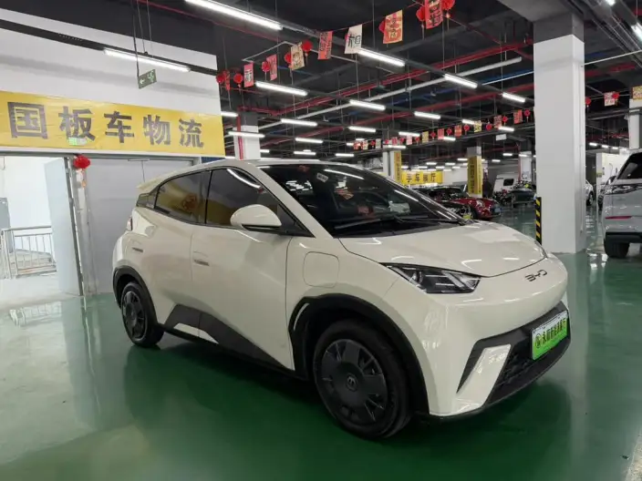 BYD Seagull 2023 Model Vitality Edition – фото 3