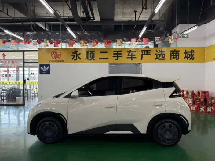 BYD Seagull 2023 Model Vitality Edition – фото 4
