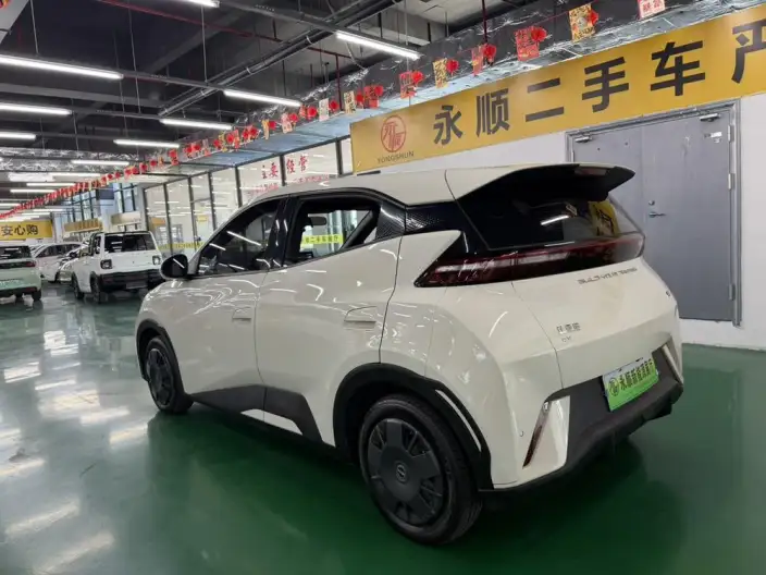 BYD Seagull 2023 Model Vitality Edition – фото 5