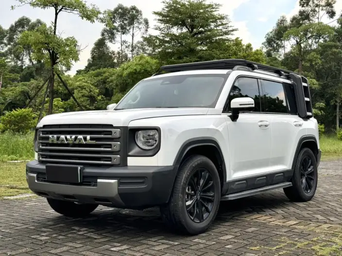 HAVAL Menglong PHEV 2024 Model 1.5T Hi4 145 Pro – фото 1