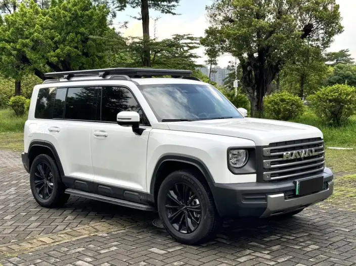HAVAL Menglong PHEV 2024 Model 1.5T Hi4 145 Pro – фото 3