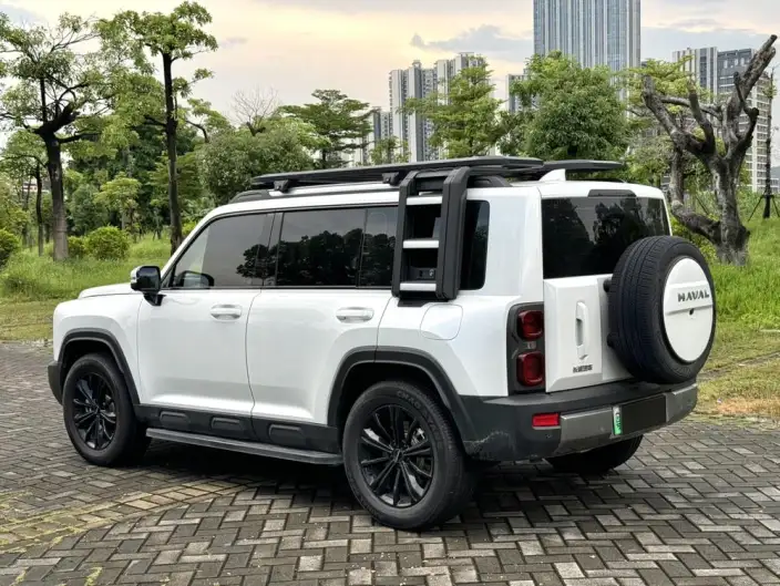 HAVAL Menglong PHEV 2024 Model 1.5T Hi4 145 Pro – фото 4