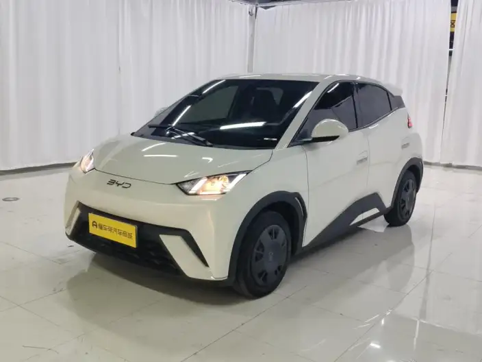BYD Seagull 2024 Model Honor Edition 305KM Vitality Edition – фото 1